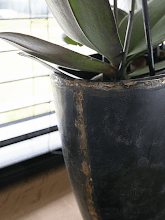 Кашпо Belia (Planter Vintage Black (set of 3)) Арт: 6PTR69812 3