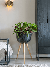 Кашпо Belia (Pot On Feet Vintage Black (set of 3)) Арт: 6PTR69821 1