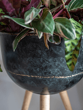 Кашпо Belia (Pot On Feet Vintage Black (set of 3)) Арт: 6PTR69821 2