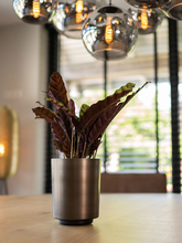 Кашпо Myra (Pot Tall Dark Brown (set of 2)) Арт: 6PTR69850 1
