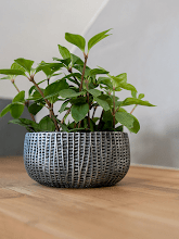 Кашпо Feico (Bowl Metal Black) Арт: 6PTR69899 1