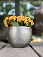 Кашпо Rowen (Pot Lead (set of 5)) Арт: 6PTR69916 1