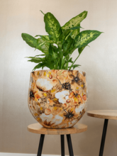 Кашпо Designed by Lammie (Pot Cotton Cream (set of 3)) Арт: 6PTR70690 2