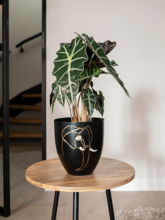 Кашпо Leah (Pot Elephant (set of 4)) Арт: 6PTR70696 1