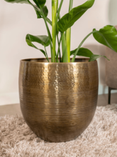 Кашпо Fabio (Pot Brass Antique (set of 4)) Арт: 6PTR70711 2