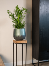 Кашпо Ninthe (Pot Metallic Green (set of 4)) Арт: 6PTR70717 1