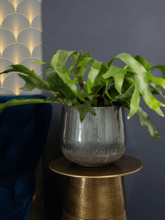 Кашпо Ninthe (Pot Metallic Grey (set of 4)) Арт: 6PTR70718 1