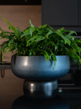 Кашпо Mara (Bowl Darkblue) Арт: 6PTR70815 1