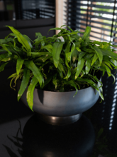 Кашпо Mara (Bowl Darkblue) Арт: 6PTR70816 1