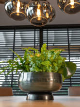 Кашпо Mara (Bowl Green) Арт: 6PTR70820 1