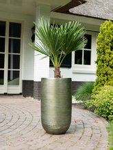 Кашпо Rowen (Pot Tall New Green (set of 3)) Арт: 6PTR71398 1