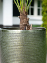 Кашпо Rowen (Pot Tall New Green (set of 3)) Арт: 6PTR71398 2