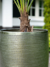 Кашпо Rowen (Pot Tall New Green (set of 5)) Арт: 6PTR71399 2
