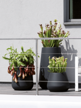 Кашпо Pure® (Cone Black) Арт: 6PURCOB45 1