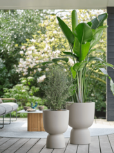 Кашпо Pure® (Coupe Balanced Beige) Арт: 6PURCP35B 1