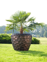 Кашпо Cascara (Pot Bronze (set of 3)) Арт: 6TS160030 1