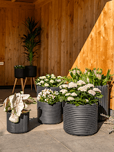 Кашпо Gabi (Pot Black (set of 5)) Арт: 6TS166935 1