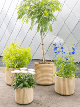 Кашпо Gabi (Pot Camel (set of 5)) Арт: 6TS166937 1