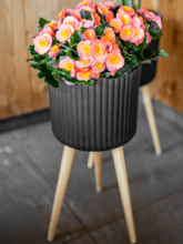 Кашпо Gabi (Pot On Feet Black (set of 3)) Арт: 6TS166939 1
