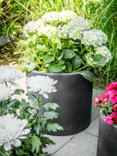 Кашпо Giedo (Pot Black (set of 5)) Арт: 6TS166941 1