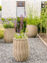 Кашпо Siona (Pot Natural (set of 3)) Арт: 6TS167150 1