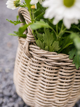 Кашпо Paula (Pot Natural (set of 3)) Арт: 6TS167154 2