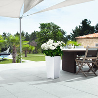 Гортензия в Cubico Cottage 40