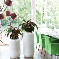 Кашпо Fleur Ami Glaze Ceramic Planter Ecru в интерьере