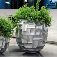 Рипсалис в кашпо Mosaic Table Top Silver