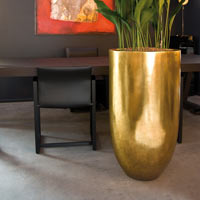 Аспидистра в кашпо Pandora Vase Large Gold