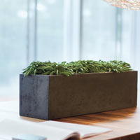 Кашпо Fleur Ami Polystone Flowerbox Anthracite в интерьере