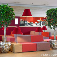 Кашпо Boxer Planter Brown в интерьере