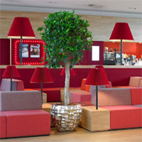 Фикус панда в кашпо Boxer Planter Brown