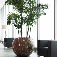 Кашпо Forest Bowl в интерьере