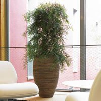 Кашпо Honey Vase в интерьере