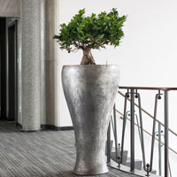 Кашпо Cavaleiro Vase в интерьере