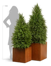 Кашпо TREEZ Effectory - Corten Steel - Куб - Кортеновская сталь - Бархатистая окись 41.33-10-21-061-CS-30, 41.33-10-21-061-CS-40, 41.33-10-21-061-CS-50 6