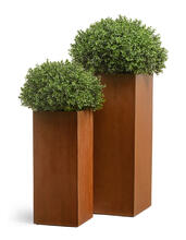Кашпо TREEZ Effectory - Corten Steel - Высокий куб - Кортеновская сталь - Бархатистая окись 41.33-10-21-062-CS-72, 41.33-10-21-062-CS-95 5