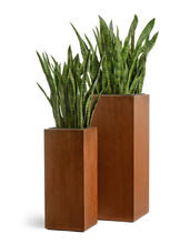 Кашпо TREEZ Effectory - Corten Steel - Высокий куб - Кортеновская сталь - Бархатистая окись 41.33-10-21-062-CS-72, 41.33-10-21-062-CS-95 6