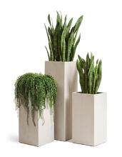 Кашпо TREEZ Effectory - Beton - Высокий куб - Белый песок 41.3317-02-010-BE-60, 41.3317-02-010-BE-75, 41.3317-02-010-BE-97 5