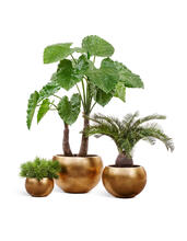 Кашпо TREEZ Effectory - Metal - Полусфера - Сусальное золото 41.3318-04-016-GLD-22, 41.3318-04-016-GLD-32, 41.3318-04-016-GLD-43, 41.3318-04-016-GLD-57 4