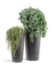 Кашпо TREEZ Effectory - Beton - Высокий конус - Тёмно-серый бетон 41.3319-02-020-GR-61, 41.3319-02-020-GR-90 4