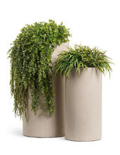 Кашпо TREEZ Effectory - Beton - Высокий цилиндр - Белый песок 41.3320-02-029-BE-60, 41.3320-02-029-BE-80 4