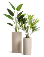 Кашпо TREEZ Effectory - Beton - Высокий цилиндр - Белый песок 41.3320-02-029-BE-60, 41.3320-02-029-BE-80 5
