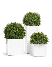 Кашпо TREEZ Effectory - Gloss - Куб - Белый глянцевый лак 41.3320-05-033-WH-20, 41.3320-05-033-WH-30, 41.3320-05-033-WH-40, 41.3320-05-033-WH-50 4