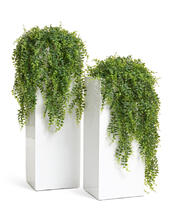 Кашпо TREEZ Effectory - Gloss - Высокий куб - Белый глянцевый лак 41.3320-05-034-WH-60, 41.3320-05-034-WH-75, 41.3320-05-034-WH-97 6