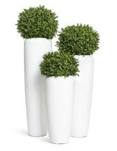 Кашпо TREEZ Effectory - Gloss - Высокий конус Design - Белый глянцевый лак 41.3320-05-036-WH-075, 41.3320-05-036-WH-097, 41.3320-05-036-WH-117 8