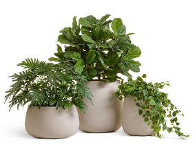 Кашпо TREEZ Effectory - Beton - Design-Чаша - Белый песок 41.3321-02-072-BE-34 3