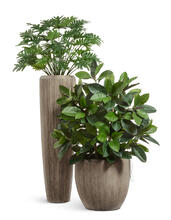 Кашпо TREEZ Effectory - Wow - Высокий конус Design - Капучино 41.3321-06-049-BB-075, 41.3321-06-049-BB-097, 41.3321-06-049-BB-117 10