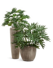 Кашпо TREEZ Effectory - Wow - Высокий конус Design - Капучино 41.3321-06-049-BB-075, 41.3321-06-049-BB-097, 41.3321-06-049-BB-117 8